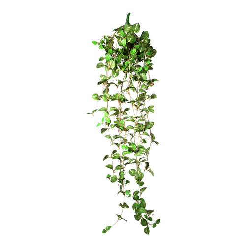 Terra Natura Dekoracja terrarystyczna wisząca roślina średnia 22*8*62cm