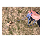 ZOLUX Pas samochodowy dla psa do szelek CLIP and GO XS/S