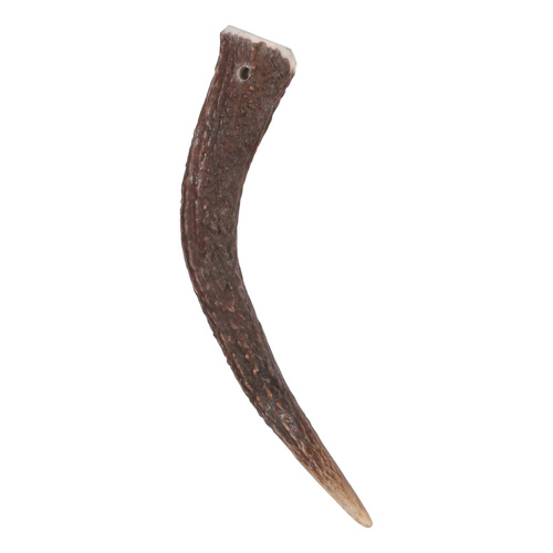 ZOLUX Przysmak naturalny Poroże jelenia HARD w całości, pies do 15 kg