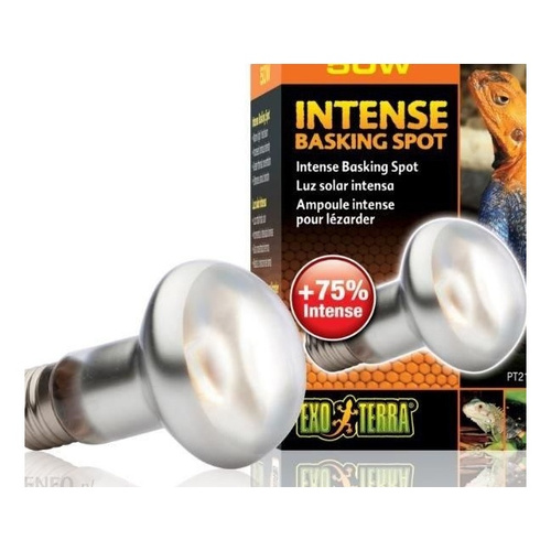 Eao Terra Żarówka Intense Basking Spot 50W 63mm
