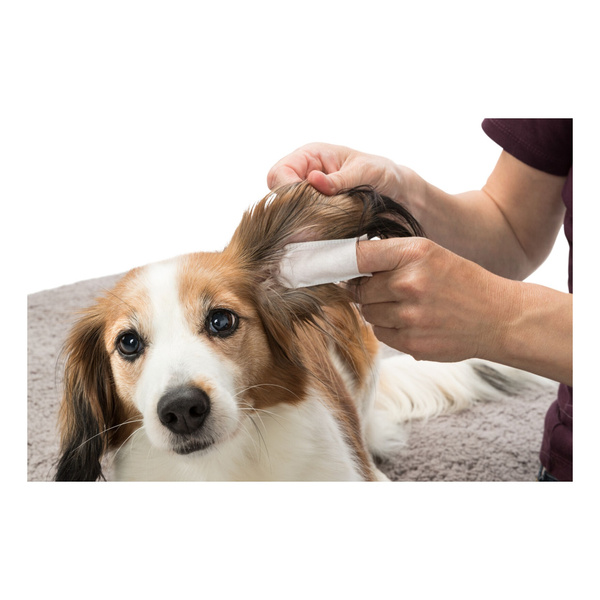 Trixie Ear Care Czyste uszy nakładki na palce 50szt