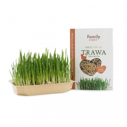 Family First Trawa dla kota w pojemniku 100g