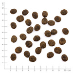 WILDES LAND CAT Forelle Lachs - pstrąg i łosoś z warzywami i ziołami (1,2kg)
