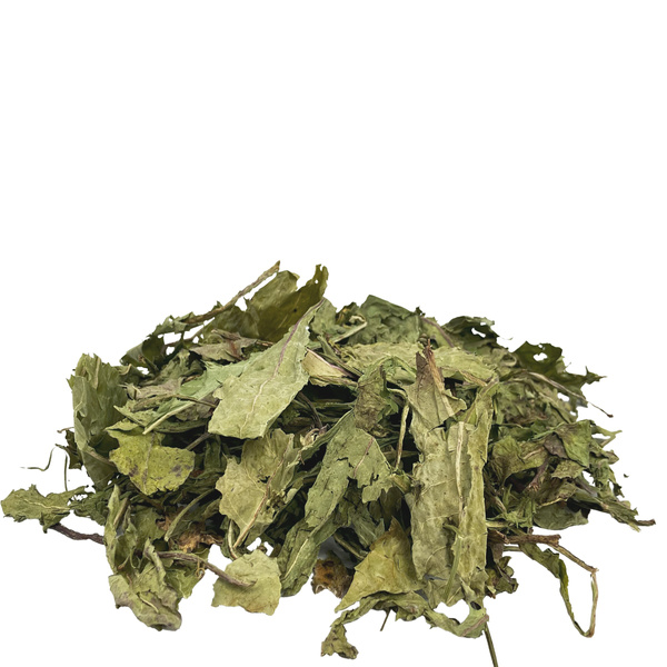 ProHerbs Liść mniszka lekarskiego 300g - odporność, trawienie, witalność!