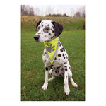 Trixie BANDAMKA ODBLASKOWA dla psa 22-28cm neonowa