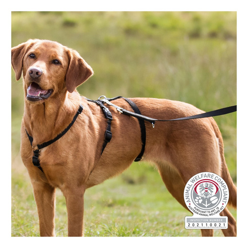 Trixie Szelki Panic Stay potrójne XS-S dla Psa 30-40cm