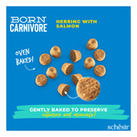 Schesir Born Carnivore karma sucha dla kotów dorosłych śledź i łosoś 255 g