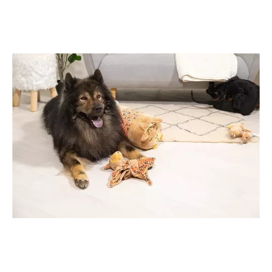 Zolux Zabawka pluszowa dla psa CHIQUITOS leniwiec kocyk 42,2x20,2x31,5 cm