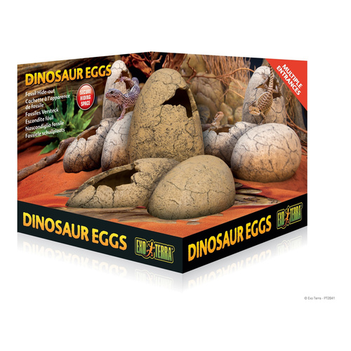 Eao Terra Kryjówka jaja dinozaura