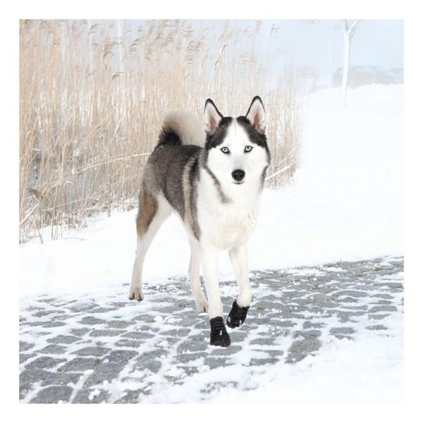 Trixie BUTY OCHRONNE Walker Active dla Psa L 2szt