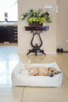 amiplay Legowisko Sofa dla Psa Palermo S Ciemnoszary