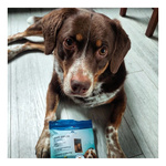 FRANCODEX Przysmak dla psa antystresowy, z kurczakiem, wyciąg z melisy 75 g