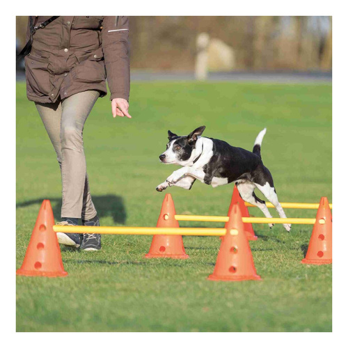 Trixie TOR przeszkód dla psa zestaw 3 części zabawka treningowa