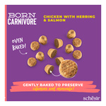Schesir Born Carnivore karma sucha dla kotów kurczak i śledź 255 g
