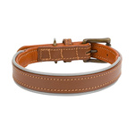 Barry King Obroża skórzana, S: 33-40 cm/20 mm, ciemny beż