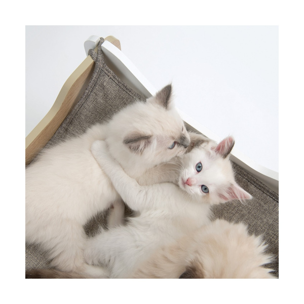 CatIt Domek dla kota Vesper Cabana 50x50x53cm,