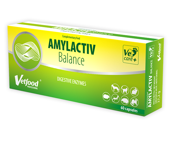 Amylactiv Balance  60 kapsułek na trawienie dla psa