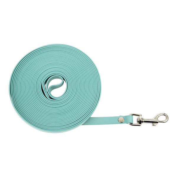 Linka treningowa Biothan Amerykański 10mm/10m miętowy