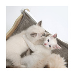 CatIt Domek dla kota Vesper Cabana 50x50x53cm,