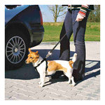 Trixie SZELKI SAMOCHODOWE dla psa 30-60cm S
