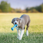 KONG Zabawka Kość KP31E KONG Puppy Goodie Bone S