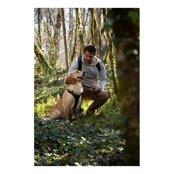 ZOLUX Szelki dla psa BIVOUAK XS niebieskie