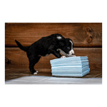 ZOLUX Maty absorbujące 40 x 60 cm - 30 sztuk
