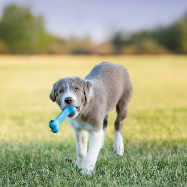 KONG Zabawka Kość KP31E KONG Puppy Goodie Bone S