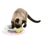 Trixie zabawka Junior Kitten Circle z piłkami dla kota 24cm