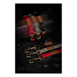 Zolux Smycz dla psa elegancka IMAO MAYFAIR 25 mm/1,2 m kol. czerwony