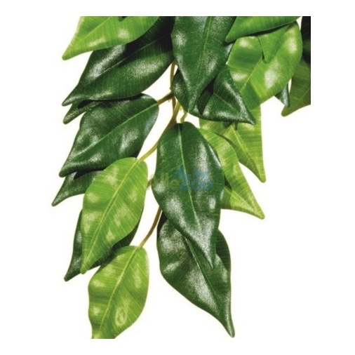 Eao Terra Roślina sztuczna - Silk Ficus M