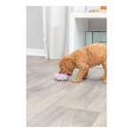 Trixie Mini gryzak okrągły z lateksu 8cm