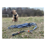 ZOLUX Zestaw szelki + smycz dla psa CLIP and GO L czarny