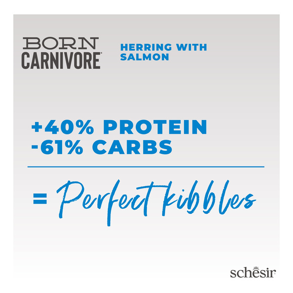 Schesir Born Carnivore karma sucha dla kotów dorosłych śledź i łosoś 255 g