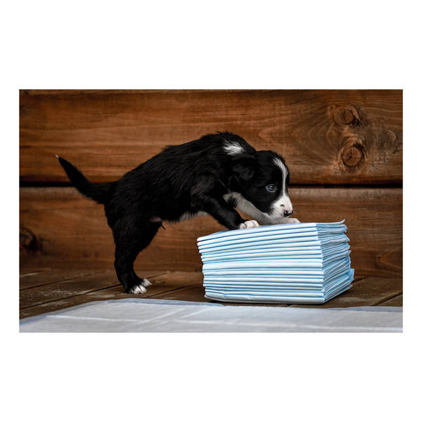 ZOLUX Maty absorbujące 40 x 60 cm - 30 sztuk