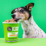 Tenetrio Hundekekse Hanf - ciasteczka z owadami, konopiami i batatami (200g)