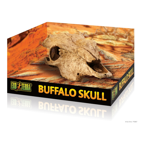 Eao Terra Kryjówka Czaszka bawoła