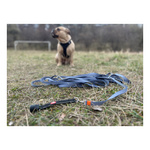 ZOLUX Pas samochodowy dla psa do szelek CLIP and GO XS/S