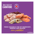Schesir Born Carnivore karma sucha dla kotów kurczak i śledź 255 g