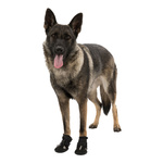 Trixie BUTY OCHRONNE Walker Active dla Psa L 2szt