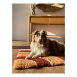 Zolux Dry bed posłanie izolujące dla psa wzór tęczy 50x70 cm