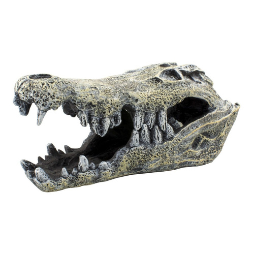 Terra Natura Dekoracja terrarystyczna kryjówka czaszka krokodyla 14cm