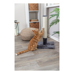 Trixie Batres, drapak stojący, dla kota, platynowy/szary , 62 cm