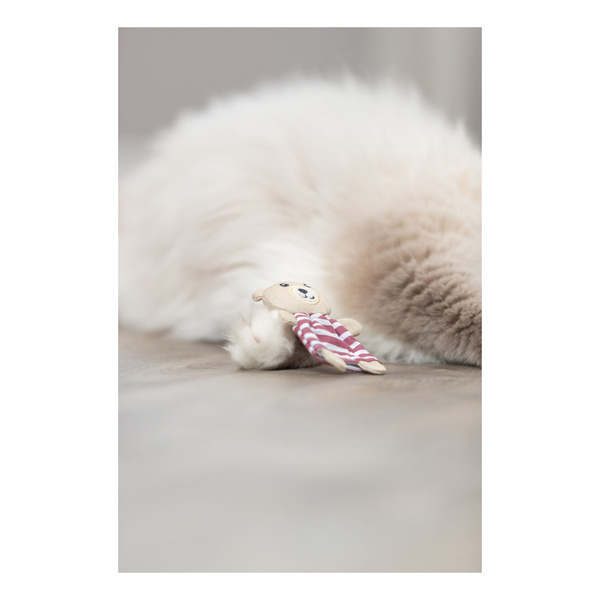Trixie Miś, zabawka, dla kota, materiał, 12 cm, z kocimiętką