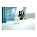 FRANCODEX Perfumy dla psa, bez alkoholu Mistinguette kwiatowe 50 ml