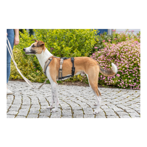 Trixie Adapter antyucieczkowy do szelek, dla psa, czarny, M-L: 46-72 cm/20 mm