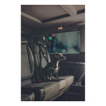 ZOLUX Szelki dla psa TRAVEL SAFE S czarne