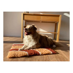 Zolux Dry bed posłanie izolujące dla psa wzór tęczy 50x70 cm