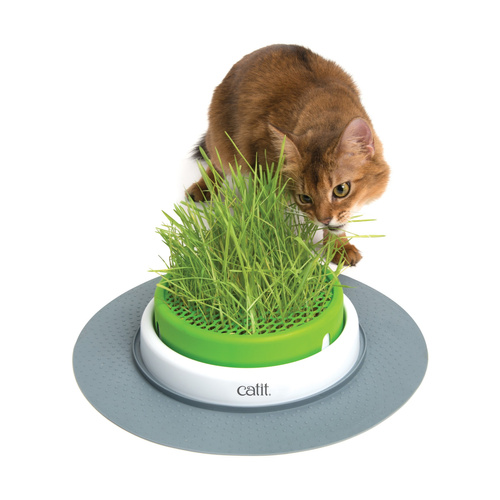 CatIt Zestaw trawa ogrodowa  Senses, 5.5 x 37 x 37 cm
