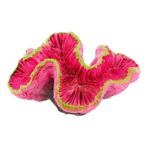 Aqua Natura Dekoracja akwarystyczna ukwiał fuksjowy 9cm